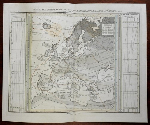 Europa piante del - del, mondo